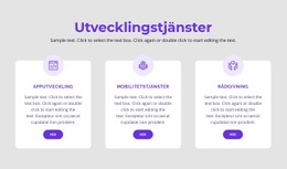 Våra Utvecklingstjänster Webbplats Mall
