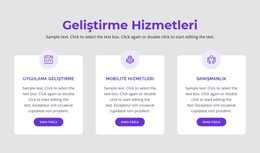 Geliştirme Hizmetlerimiz