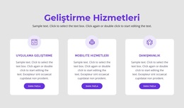 Geliştirme Hizmetlerimiz - Ücretsiz WordPress Teması