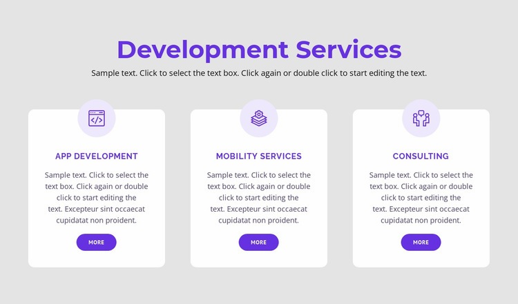 Our development services Web Page Designer