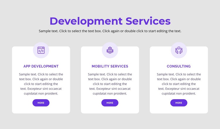 Our development services Webflow Template Alternative