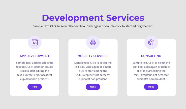Our development services WordPress Theme