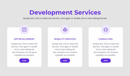Our Development Services