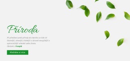 Svěží Přírodní Design – Jednoduchá HTML Šablona