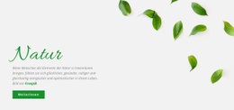 Frisches Naturdesign – Kostenloses Joomla-Template