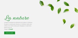 Conception De La Nature Fraîche – Thème WordPress Génial