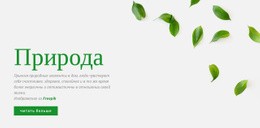 Свежий Дизайн Природы — Бесплатный Шаблон Joomla