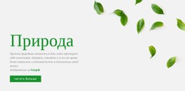 Свежий Дизайн Природы – Потрясающая Тема WordPress