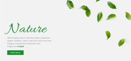 Fresh Nature Design - Professional Web Page Design