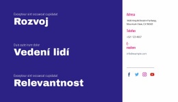 Rozvoj, Vedení, Relevance – Responzivní HTML5 Šablona