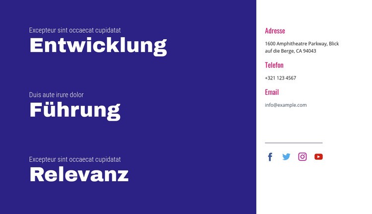 Entwicklung, Führung, Relevanz Website design