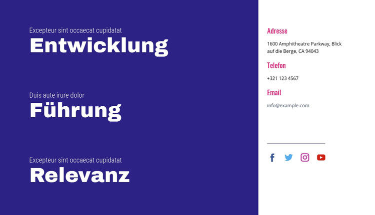 Entwicklung, Führung, Relevanz Website-Vorlage