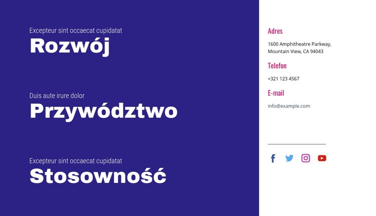 Rozwój, przywództwo, trafność Projekt strony internetowej