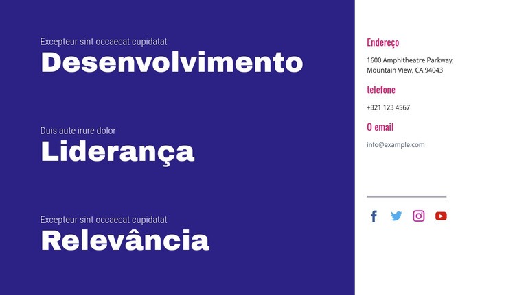 Desenvolvimento, liderança, relevância Design do site