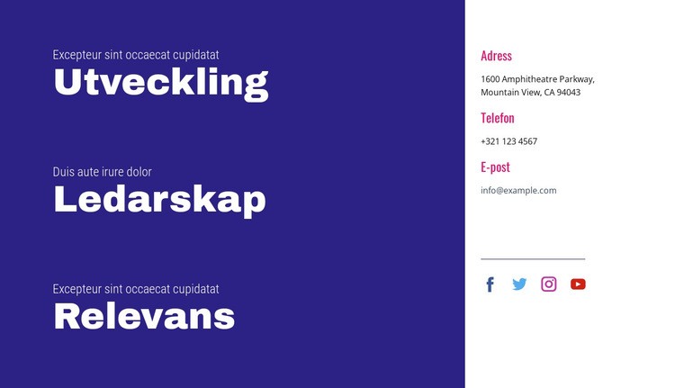 Utveckling, ledarskap, relevans Mall