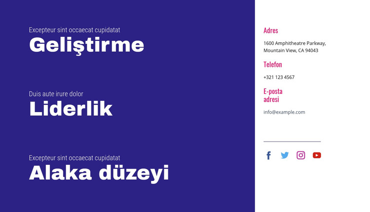 Geliştirme, liderlik, alaka HTML Şablonu