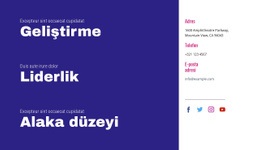 Geliştirme, Liderlik, Alaka - Işlevsellik Tasarımı