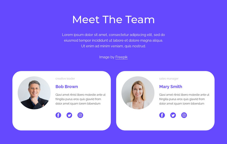 Meet our amazing team WordPress Theme