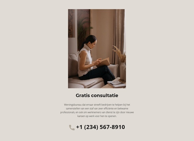 Gratis consulten Sjabloon