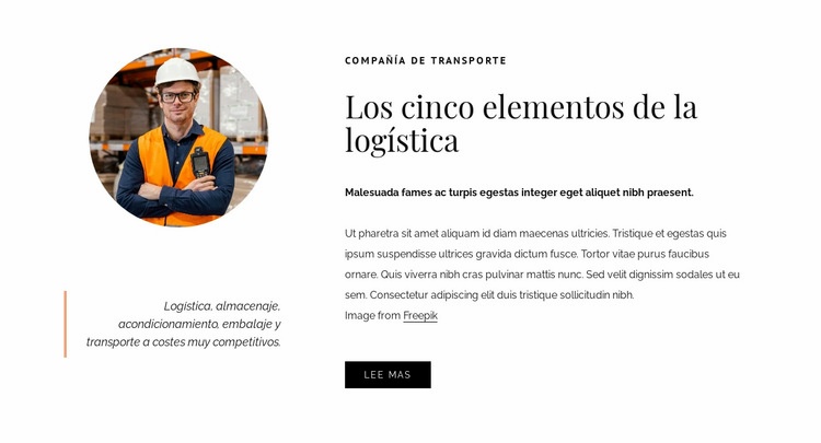 5 elementos de logística Maqueta de sitio web