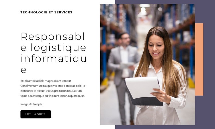 Responsable logistique informatique Maquette de site Web