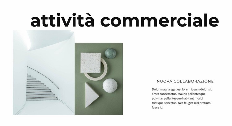 Nuovo sviluppo commerciale Costruttore di siti web HTML