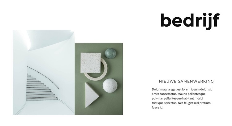 Nieuwe bedrijfsontwikkeling Website mockup