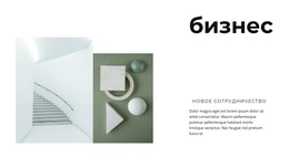 Развитие Нового Бизнеса – Профессиональная Тема WordPress