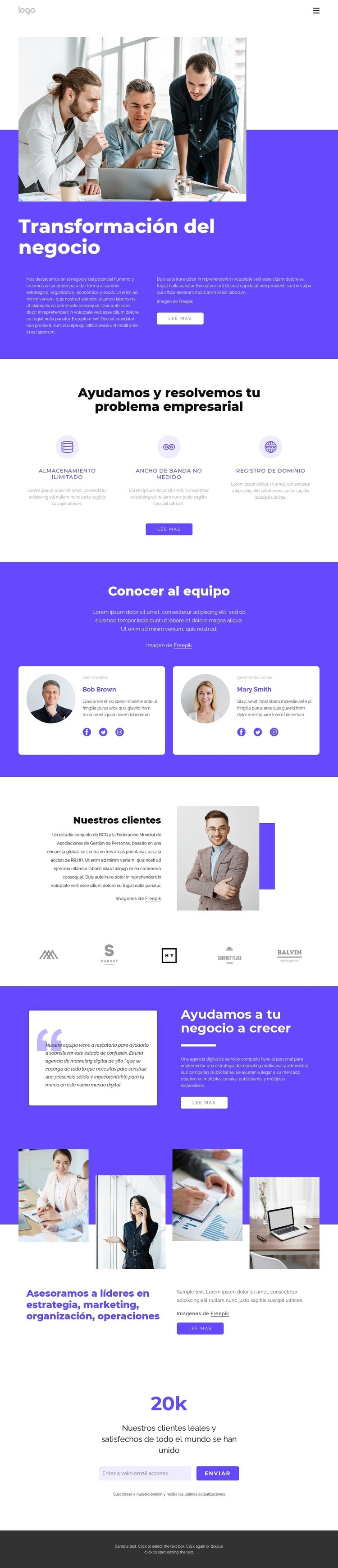 Firma de consultoría de gestión global Diseño de páginas web