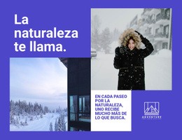 Paseos Por La Naturaleza En Invierno - Website Creation HTML