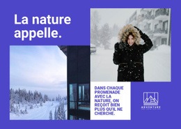 Balades Dans La Nature En Hiver - Modèle D'Une Page Réactif