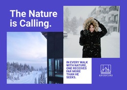 Winter Nature Walks Html Code Example