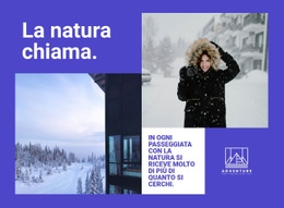 Passeggiate Nella Natura Invernale - Modello Di Sito Web Gratuito