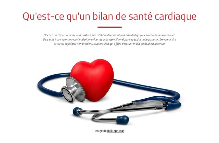 Bilan cardiaque Conception de site Web