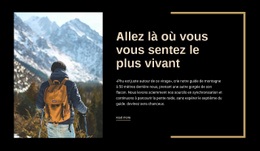 Il N'Y A Pas De Fin Aux Aventures - Conception De Site Moderne