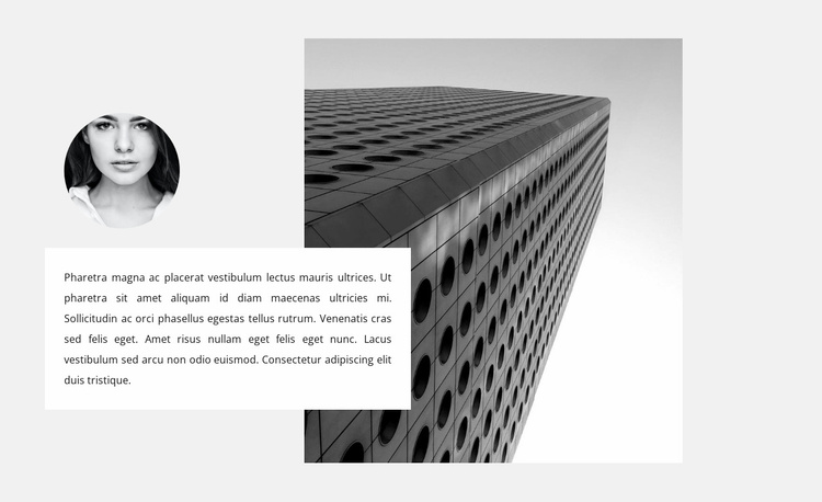 Construction specialist opinion Website Template