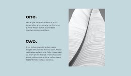 Two Main Steps Responsive Site