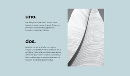 Dos Pasos Principales: Maqueta De Sitio Web Sencilla