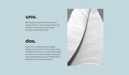 Dos Pasos Principales Sitio Adaptable