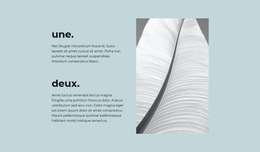 Concepteur De Produits Pour Deux Étapes Principales