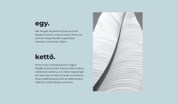 Terméktervező A(Z) Két Fő Lépés Számára