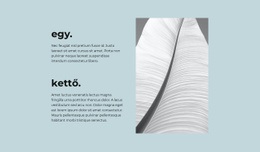 Webhely Kialakítása A(Z) Két Fő Lépés Számára