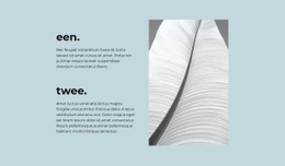 Twee Hoofdstappen: Responsieve Site