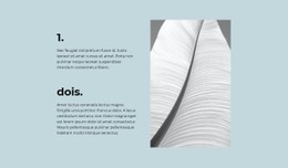 Duas Etapas Principais Site Responsivo