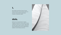 Duas Etapas Principais - Tema WordPress Gratuito