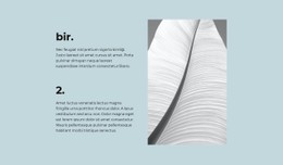 İki Ana Adım Duyarlı Site