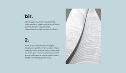 İki Ana Adım Için Site Tasarımı