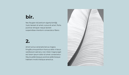 İki Ana Adım - Ücretsiz WordPress Teması