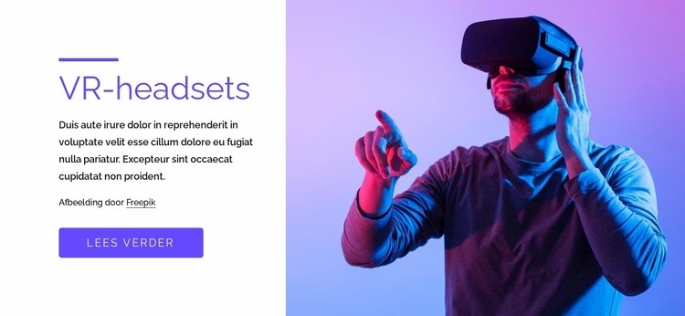 VR-games, headsets en meer Website ontwerp