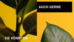 Minimalismus In Formen Flexbox-Vorlage